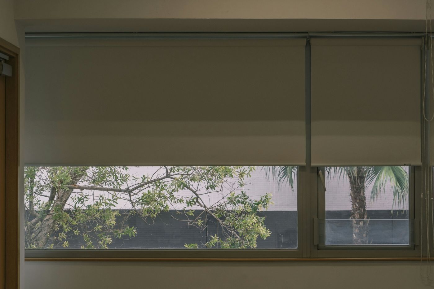 Fabric roller shades partly lowered over a large window with trees outside