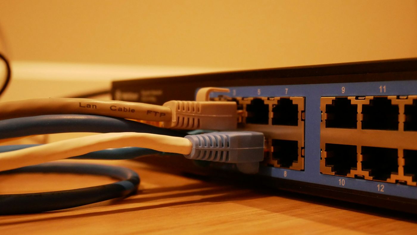 Ethernet patch cables plugged into a network switch